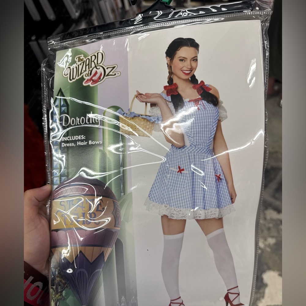 Dorothy Costume
